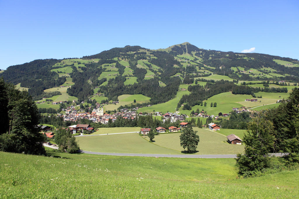 Ferienhaus Hinterebenhub Hopfgarten im Brixental Zewnętrze zdjęcie